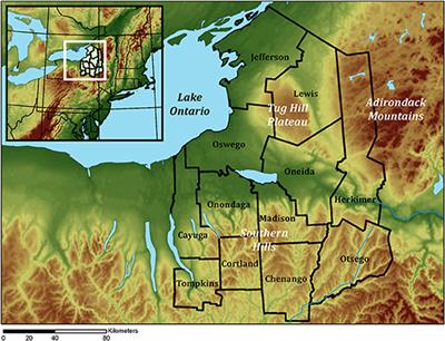 The Seasonal Snowfall Contributions of Different Snowstorm Types in Central New York State